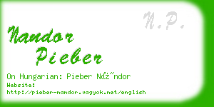 nandor pieber business card